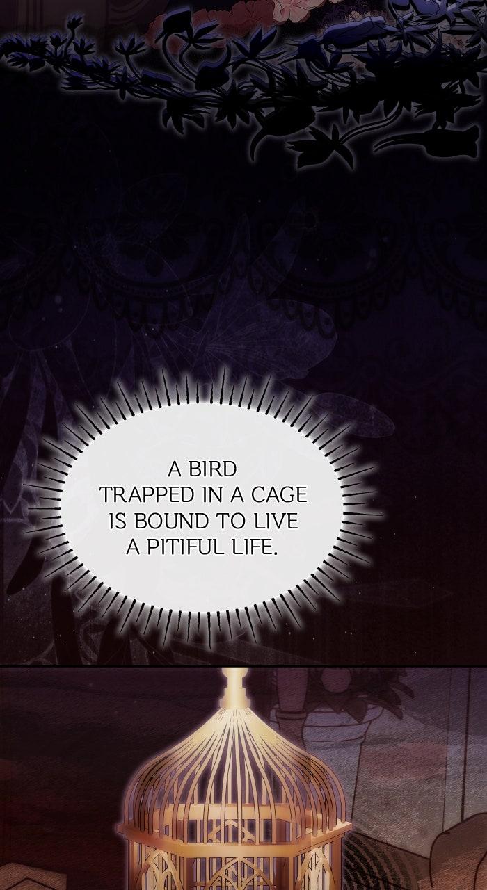The Serpent in the Empress's Chamber Chapter 33 page 71 - 