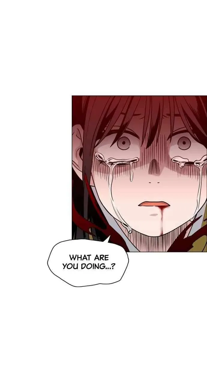 Read The Shaman