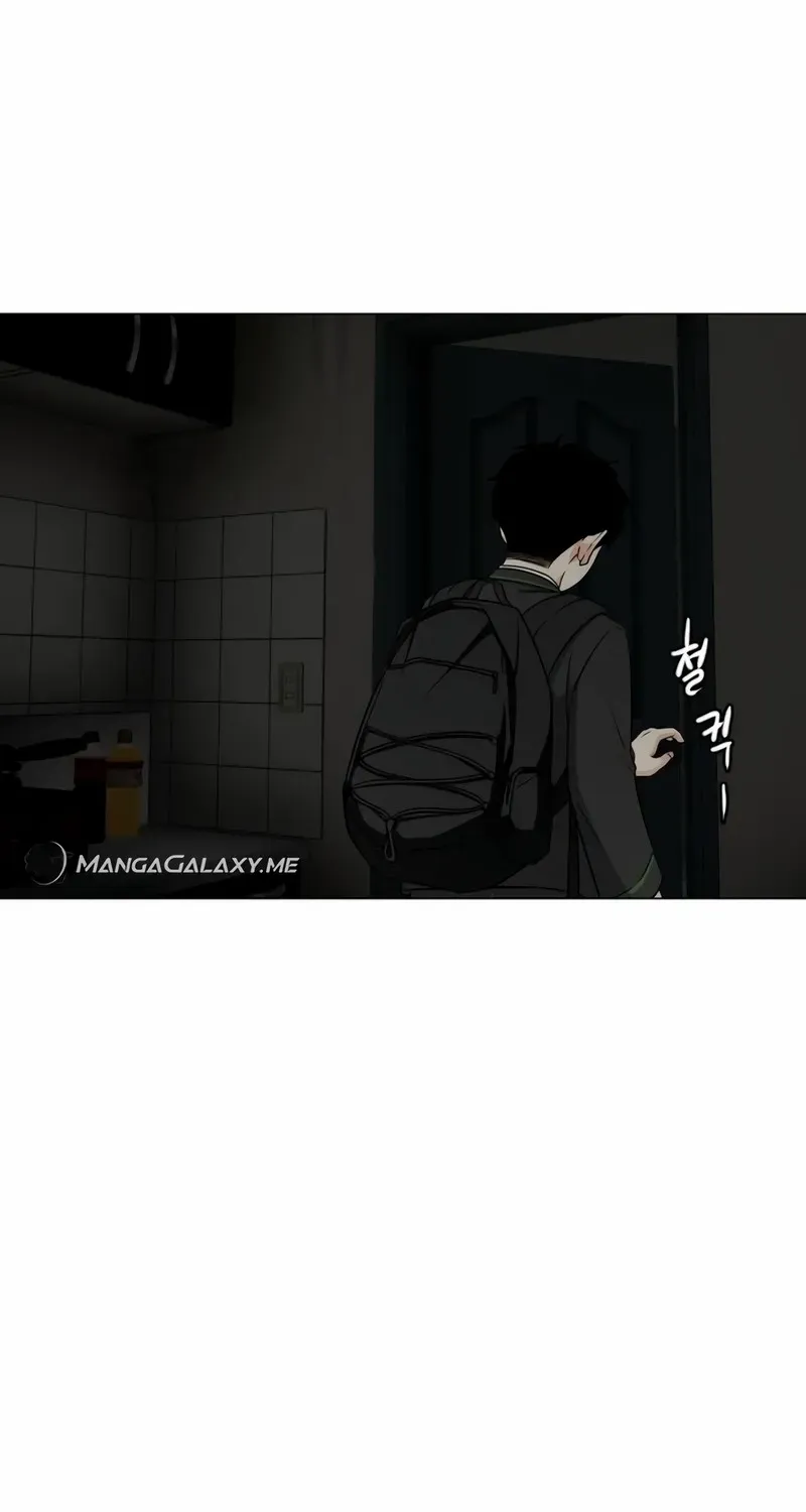 Read The Shaman