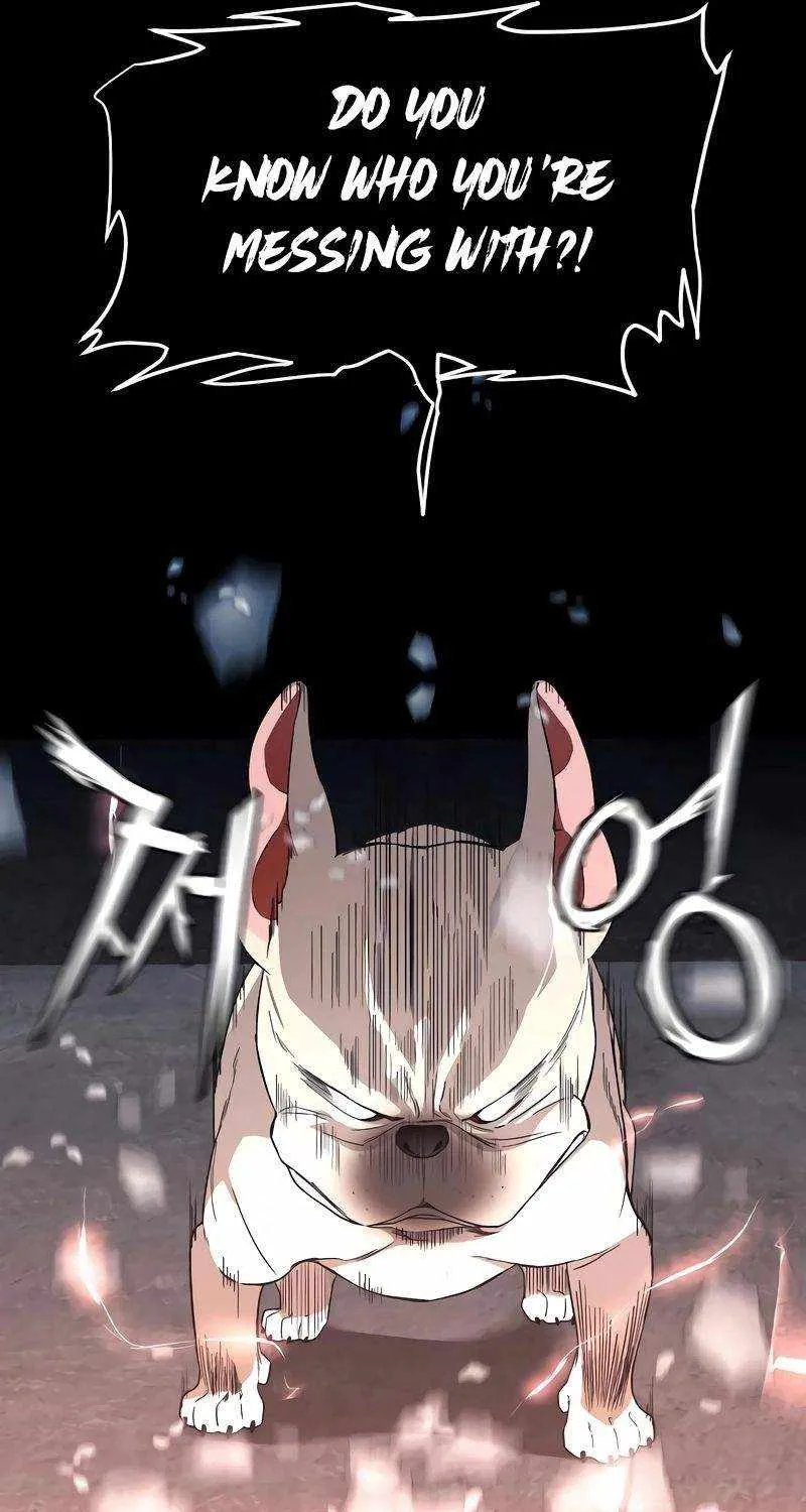 Read The Shaman