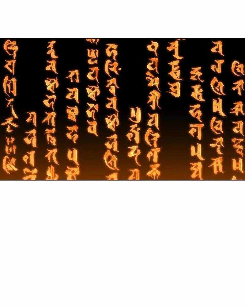Read The Shaman