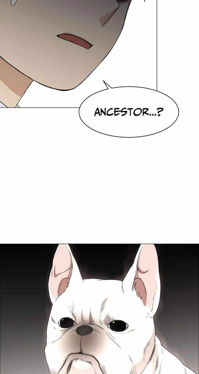 Read The Shaman