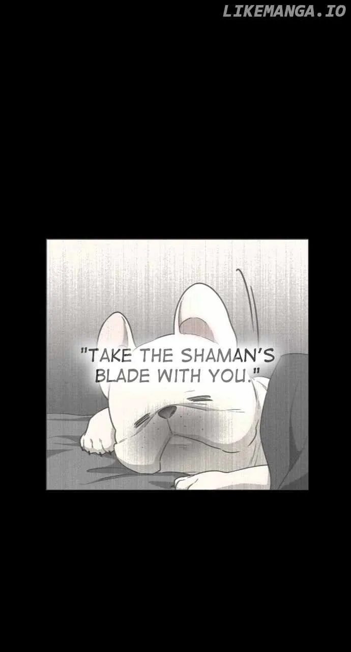 Read The Shaman