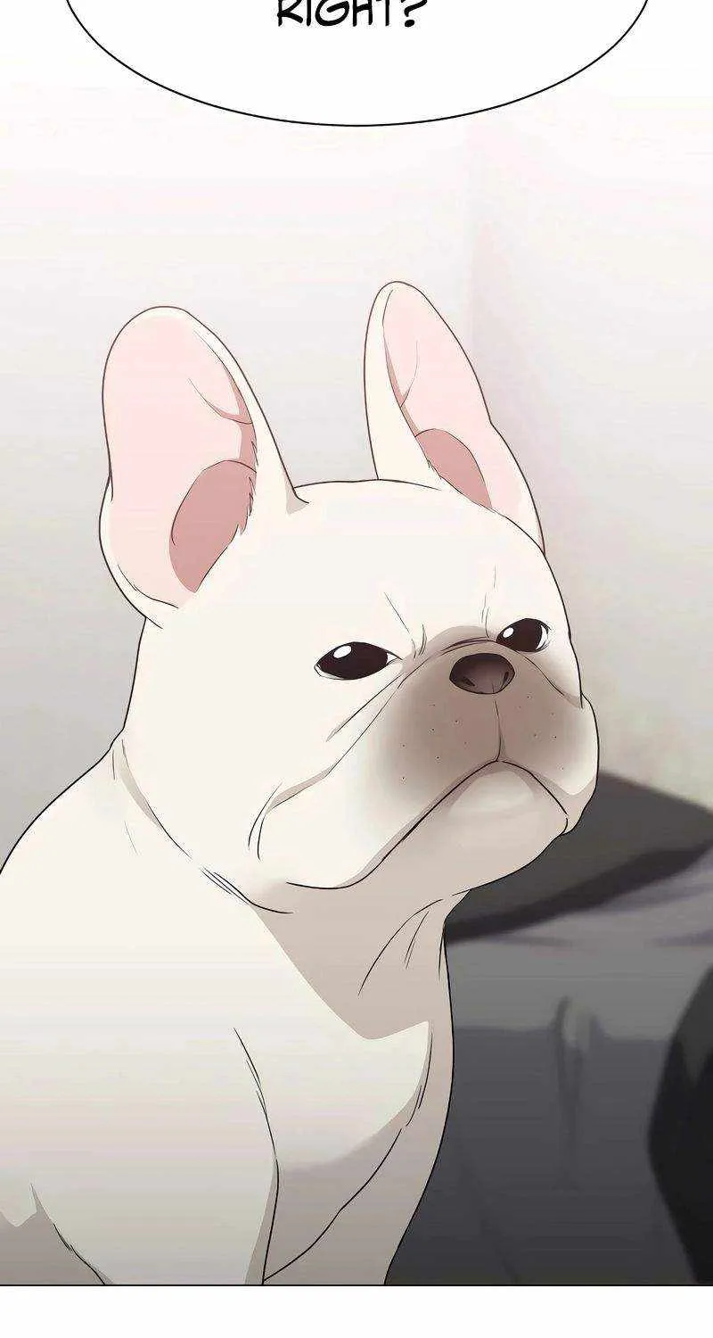 Read The Shaman