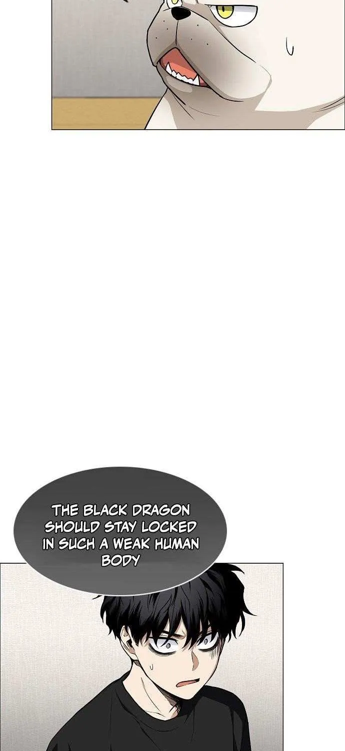 Read The Shaman
