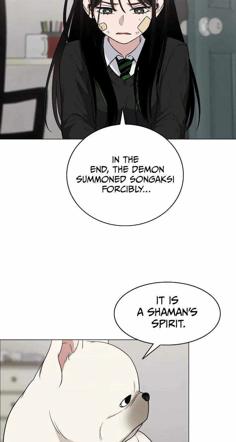 Read The Shaman