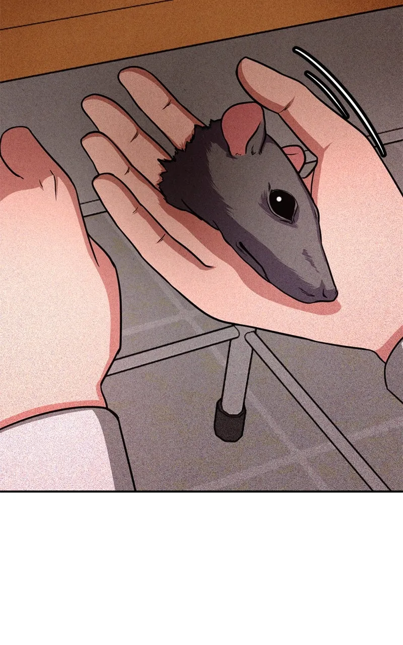 Read The Shell chapter 11 image 93 on Lezhin