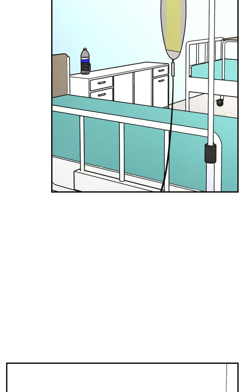 Read The Shell chapter 21 image 2 on Lezhin