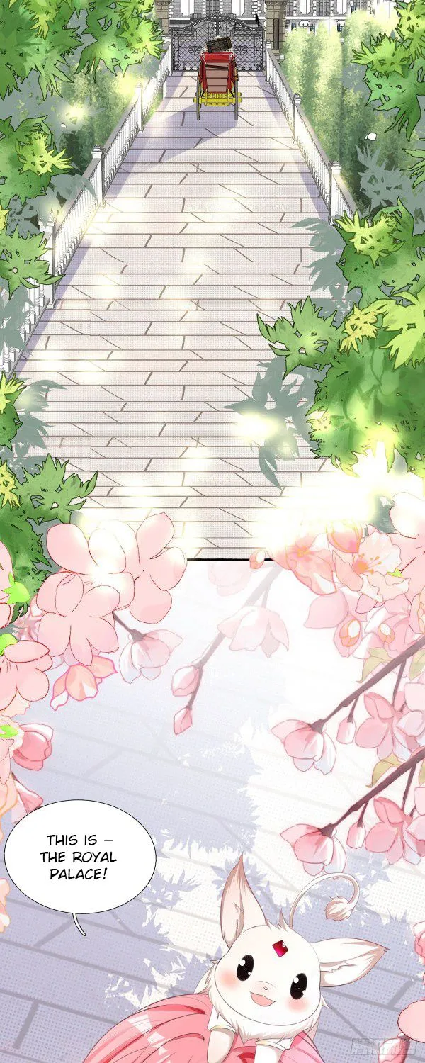 Read The Side Character’s Cheating System chapter 5 image 1 on Lezhin