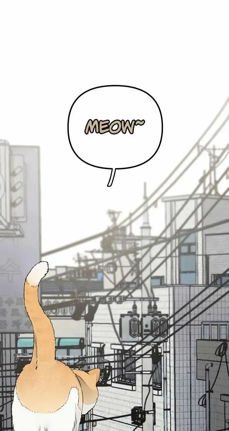Read The Silent Transfer Student chapter 1.2 image 2 on Lezhin