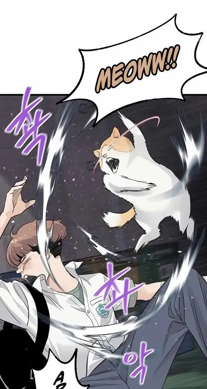 Read The Silent Transfer Student chapter 1.2 image 52 on Lezhin