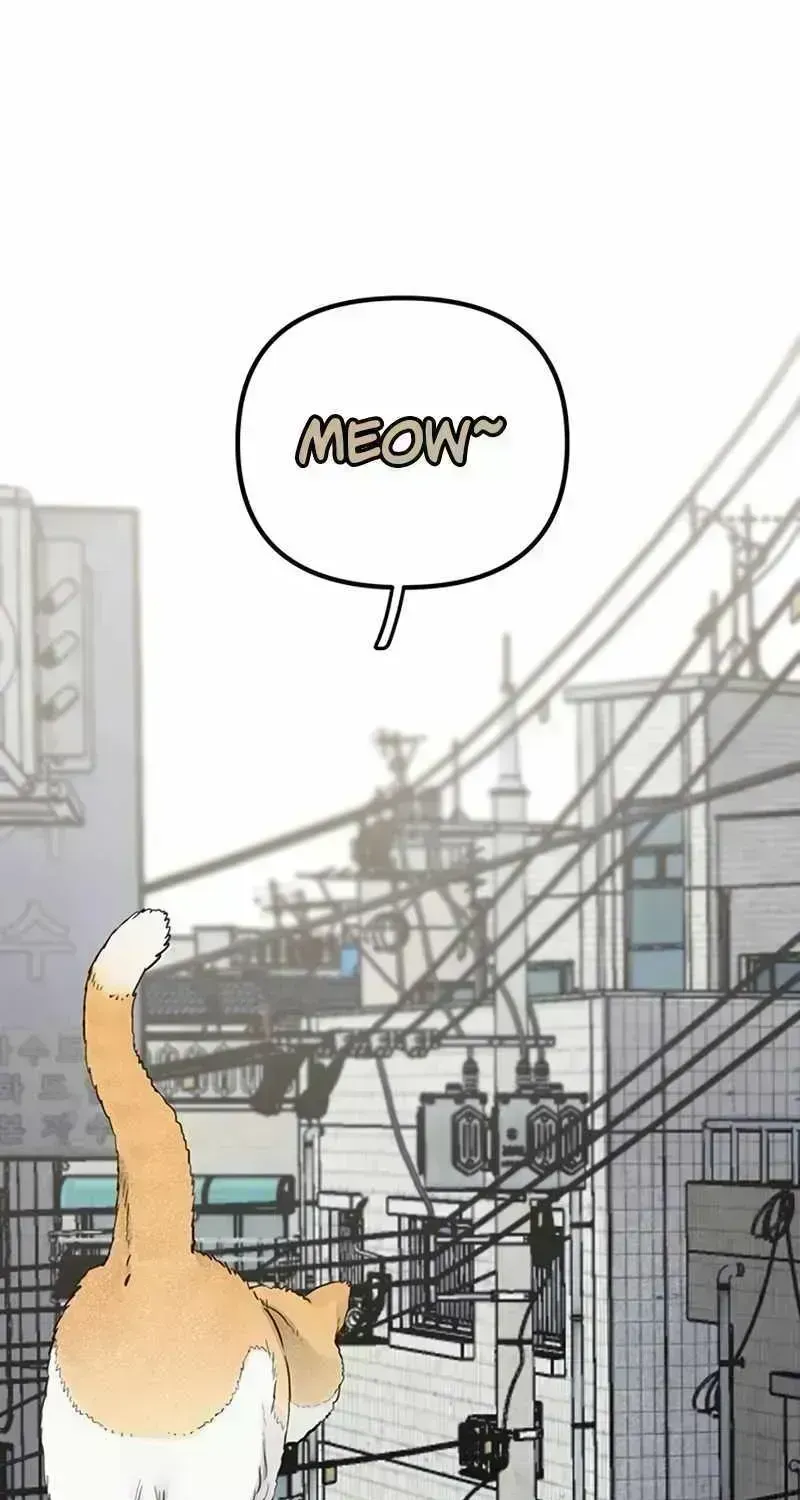 Read The Silent Transfer Student chapter 1.7 image 2 on Lezhin