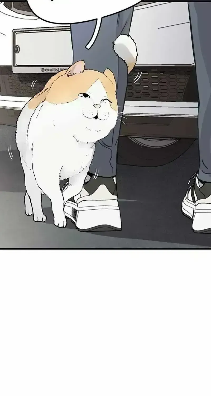 Read The Silent Transfer Student chapter 1.8 image 30 on Lezhin
