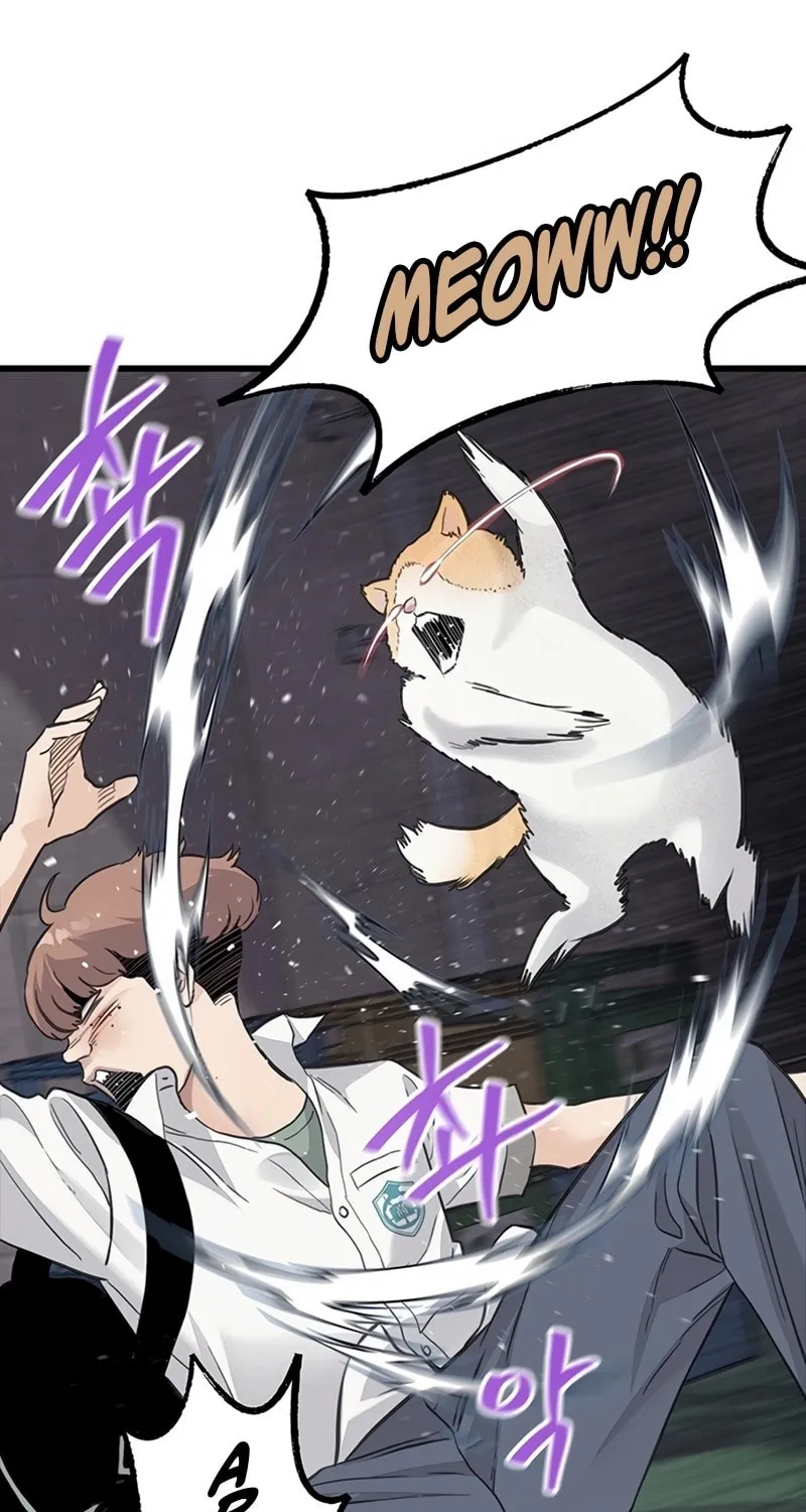 Read The Silent Transfer Student chapter 1 image 52 on Lezhin