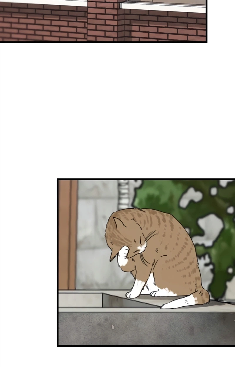 Read The Silent Transfer Student chapter 70 image 45 on Lezhin