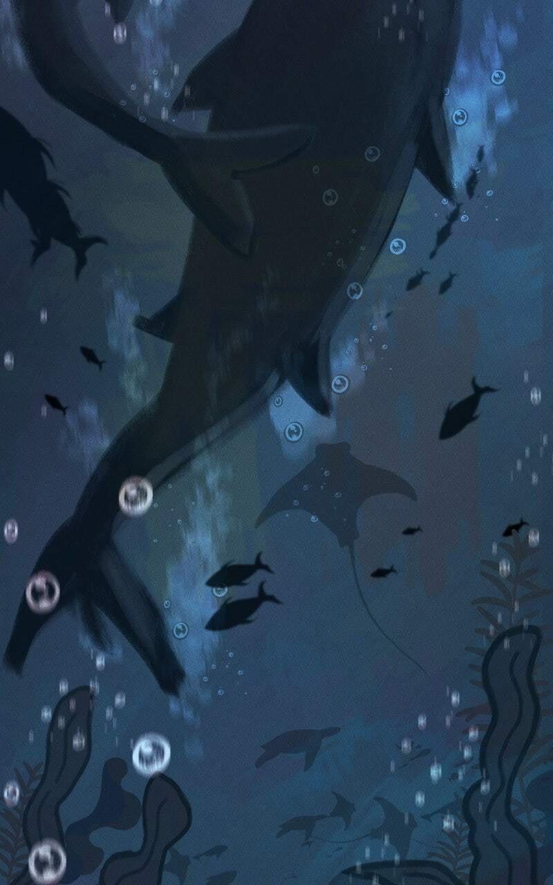 Read The Siren