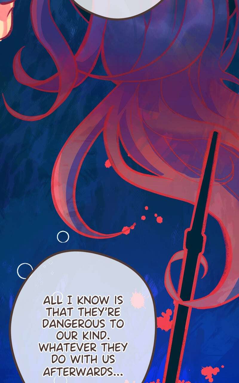 Read The Siren