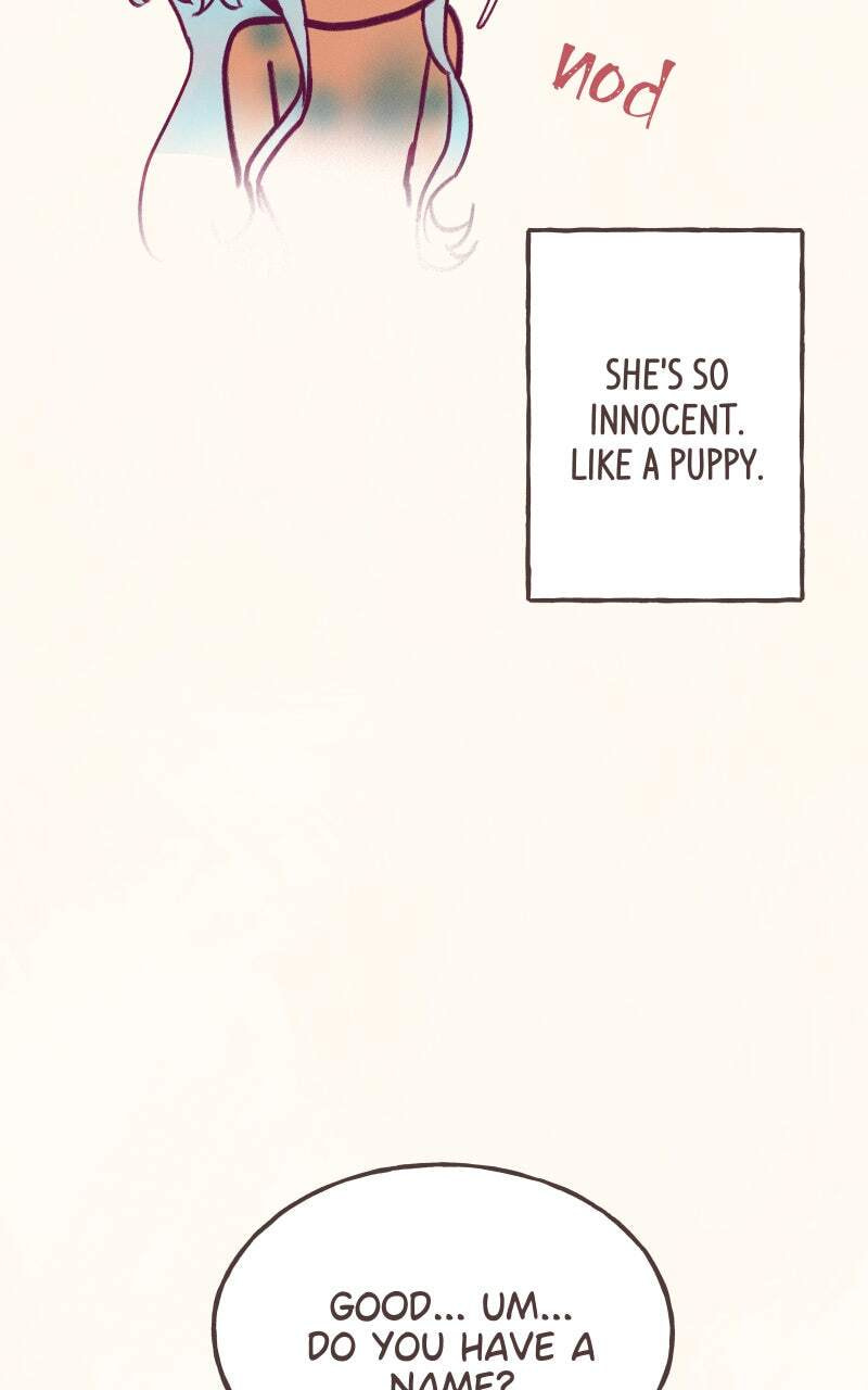 Read The Siren
