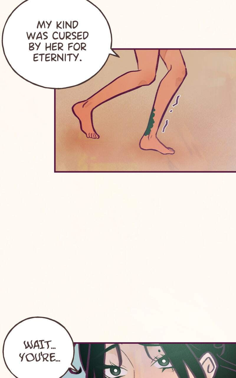 Read The Siren