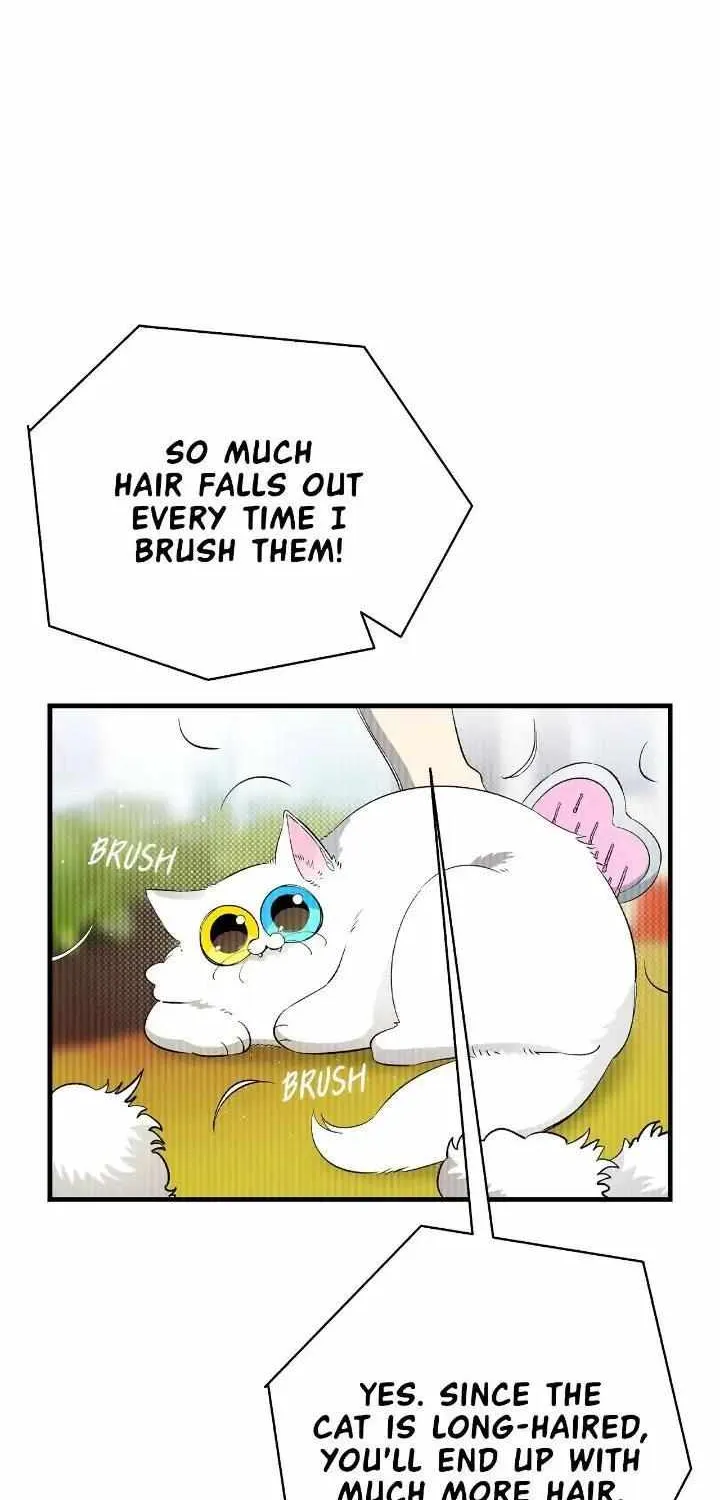 Read The Skeleton Becomes a Cat Dad chapter 161.1 image 2 on Lezhin