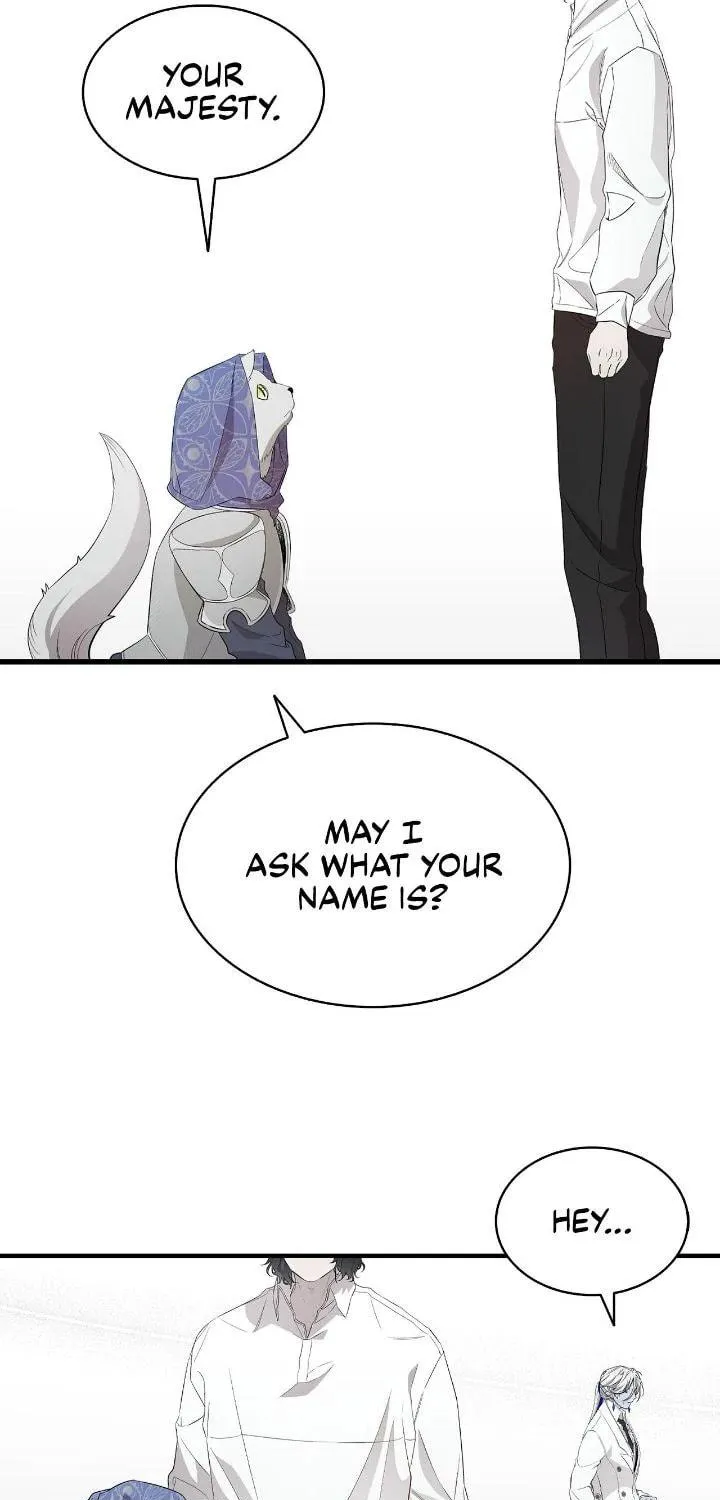 Read The Skeleton Becomes a Cat Dad chapter 212 image 62 on Lezhin