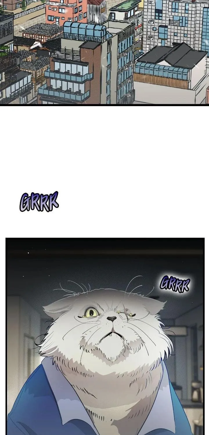 Read The Skeleton Becomes a Cat Dad chapter 213 image 9 on Lezhin