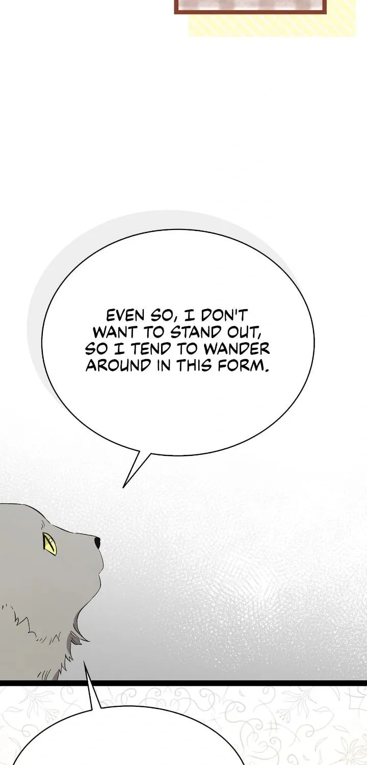 Read The Skeleton Becomes a Cat Dad chapter 214 image 11 on Lezhin