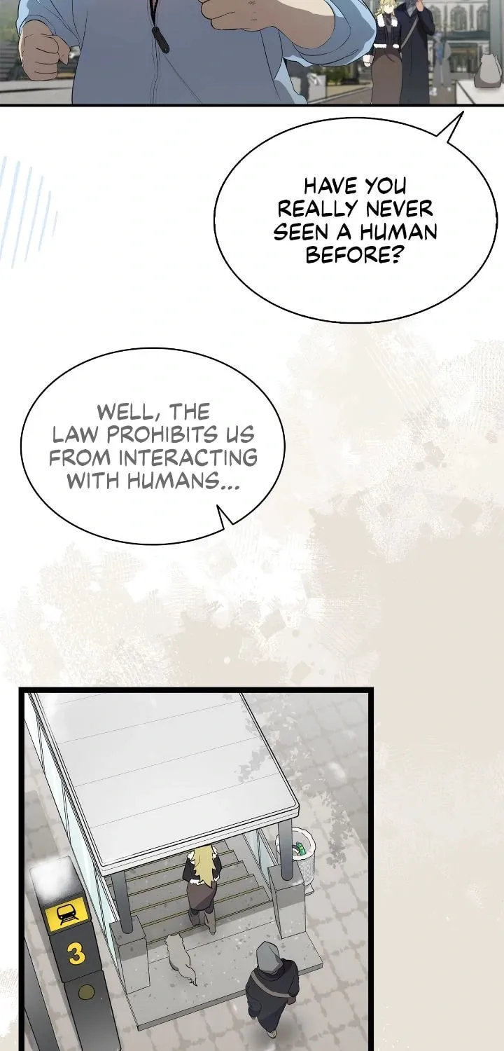Read The Skeleton Becomes a Cat Dad chapter 214 image 24 on Lezhin