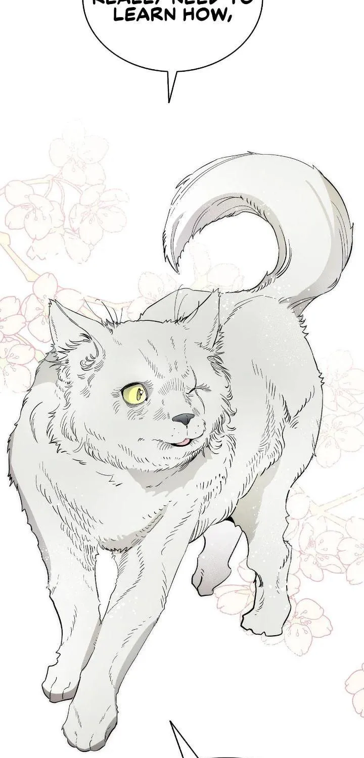 Read The Skeleton Becomes a Cat Dad chapter 214 image 3 on Lezhin