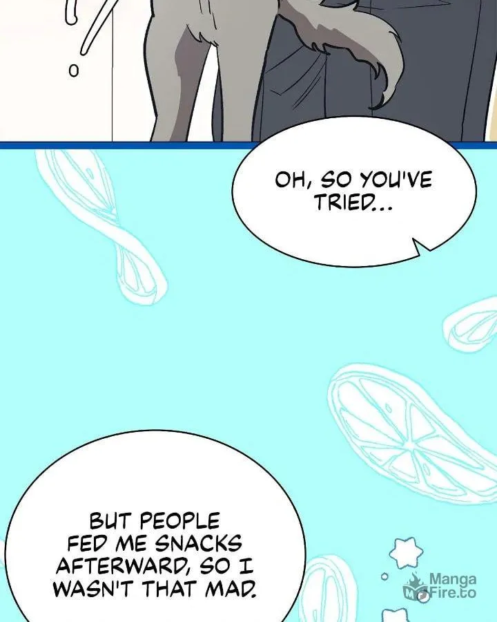 Read The Skeleton Becomes a Cat Dad chapter 214 image 37 on Lezhin