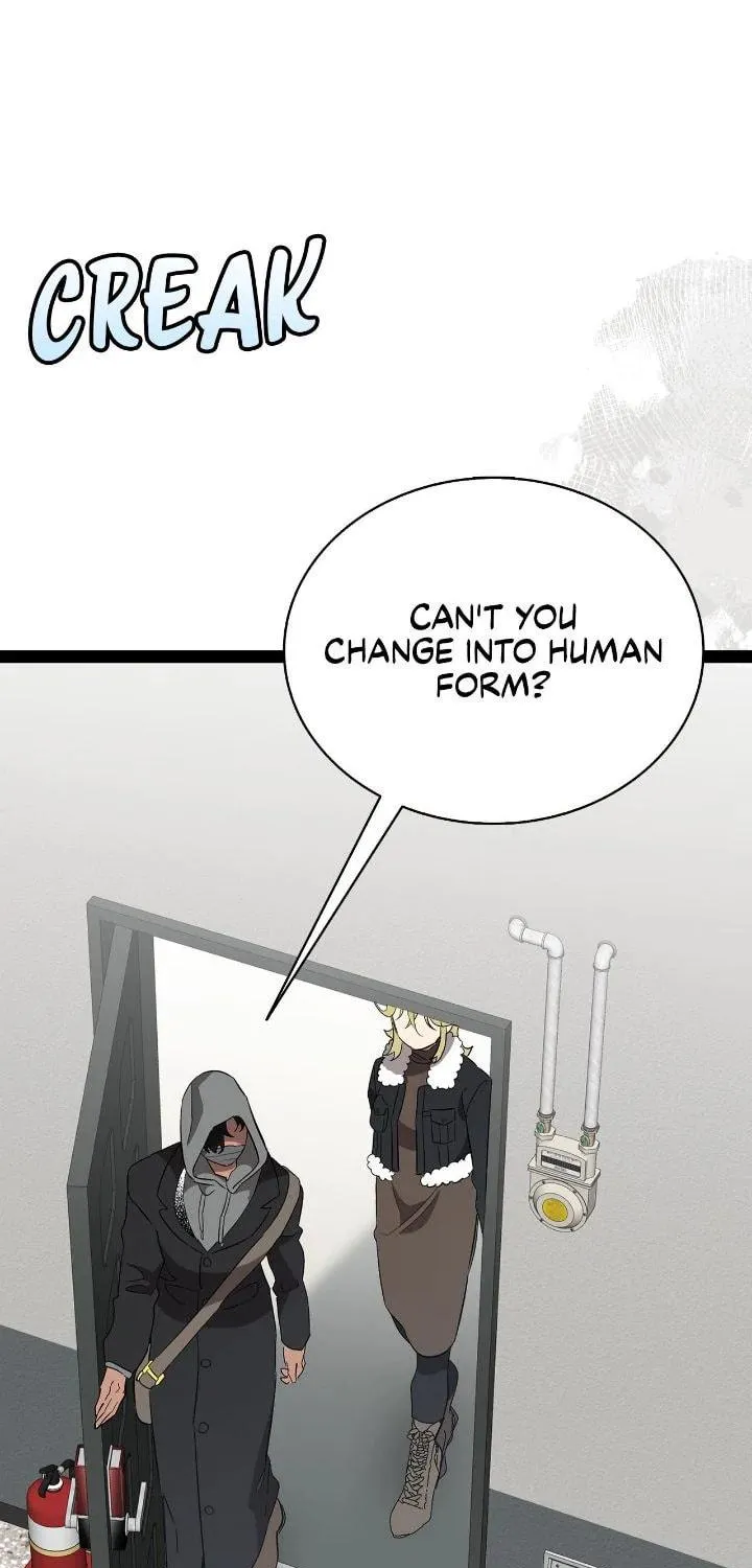 Read The Skeleton Becomes a Cat Dad chapter 214 image 7 on Lezhin