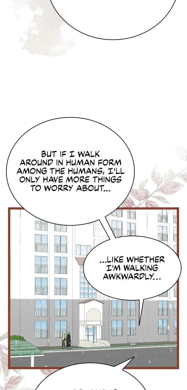 Read The Skeleton Becomes a Cat Dad chapter 214 image 9 on Lezhin