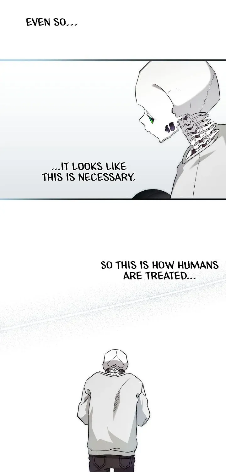 Read The Skeleton Becomes a Cat Dad chapter 225 image 32 on Lezhin