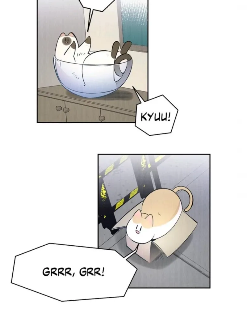 Read The Skeleton Becomes a Cat Dad chapter 40 image 13 on Lezhin