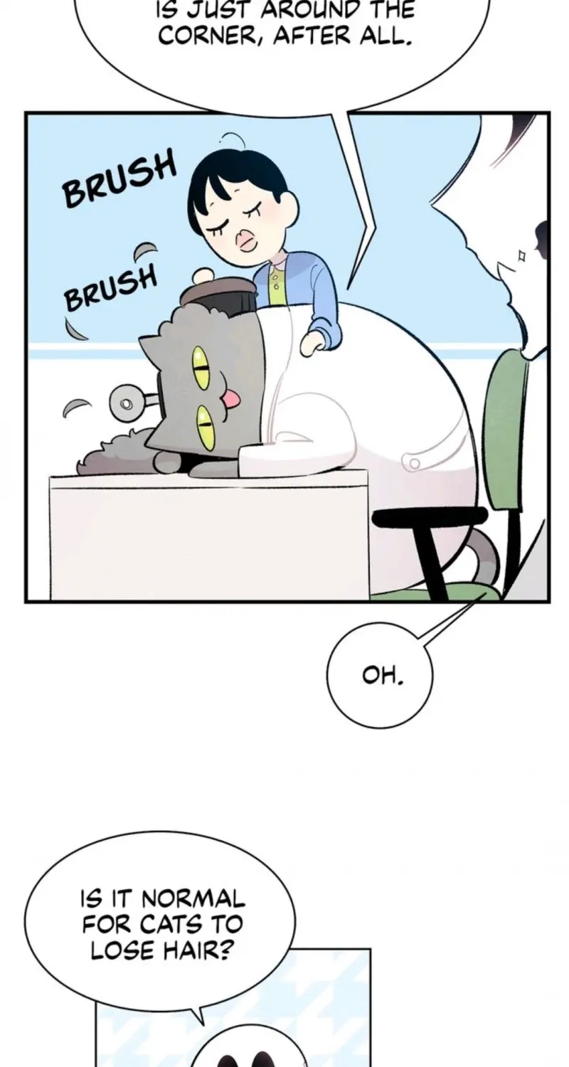 Read The Skeleton Becomes a Cat Dad chapter 40 image 30 on Lezhin