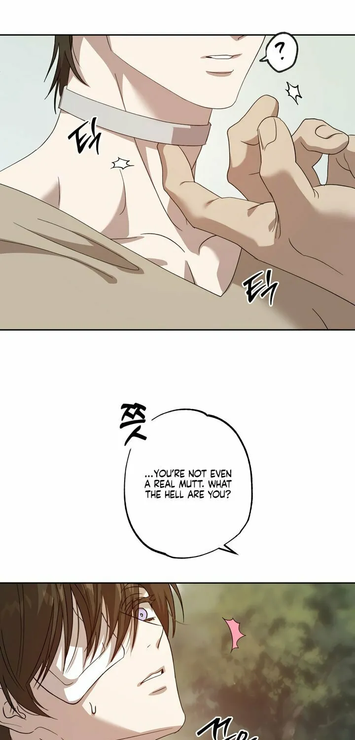 Read The Sleeping Monster Forest chapter 2 image 53 on Lezhin