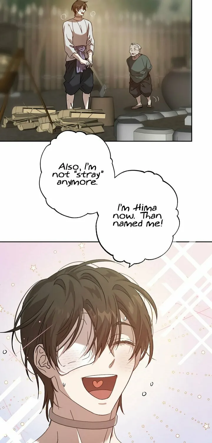 Read The Sleeping Monster Forest chapter 3 image 11 on Lezhin