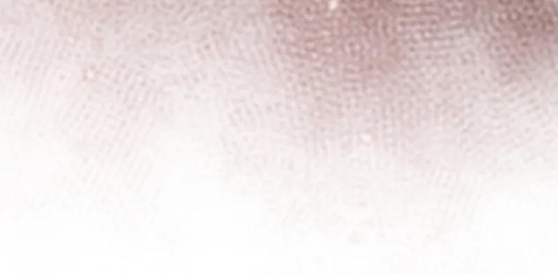 The Slumbering Ranker Chapter 125 page 91 - 