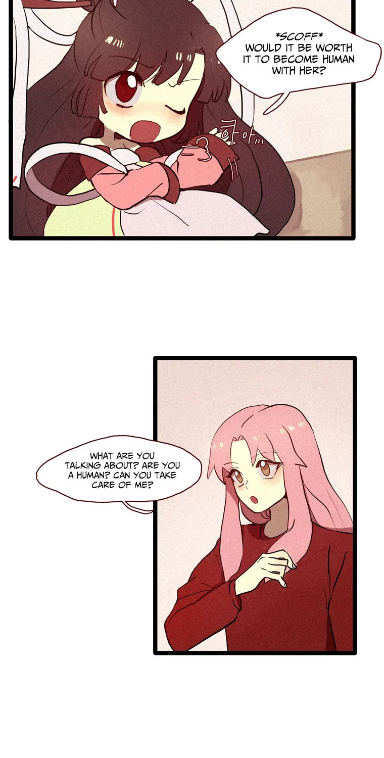 The Snail Bride Chapter 1 page 11 - 