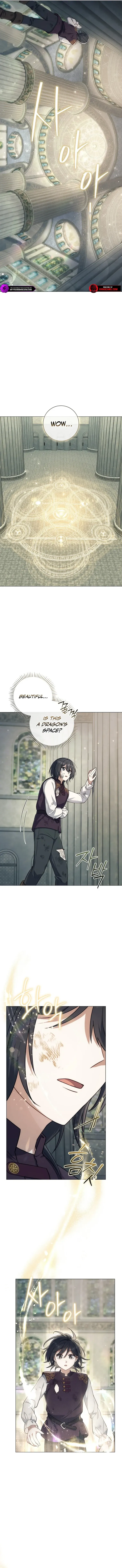 Read The Sorcerer Lord chapter 4 image 8 on Lezhin
