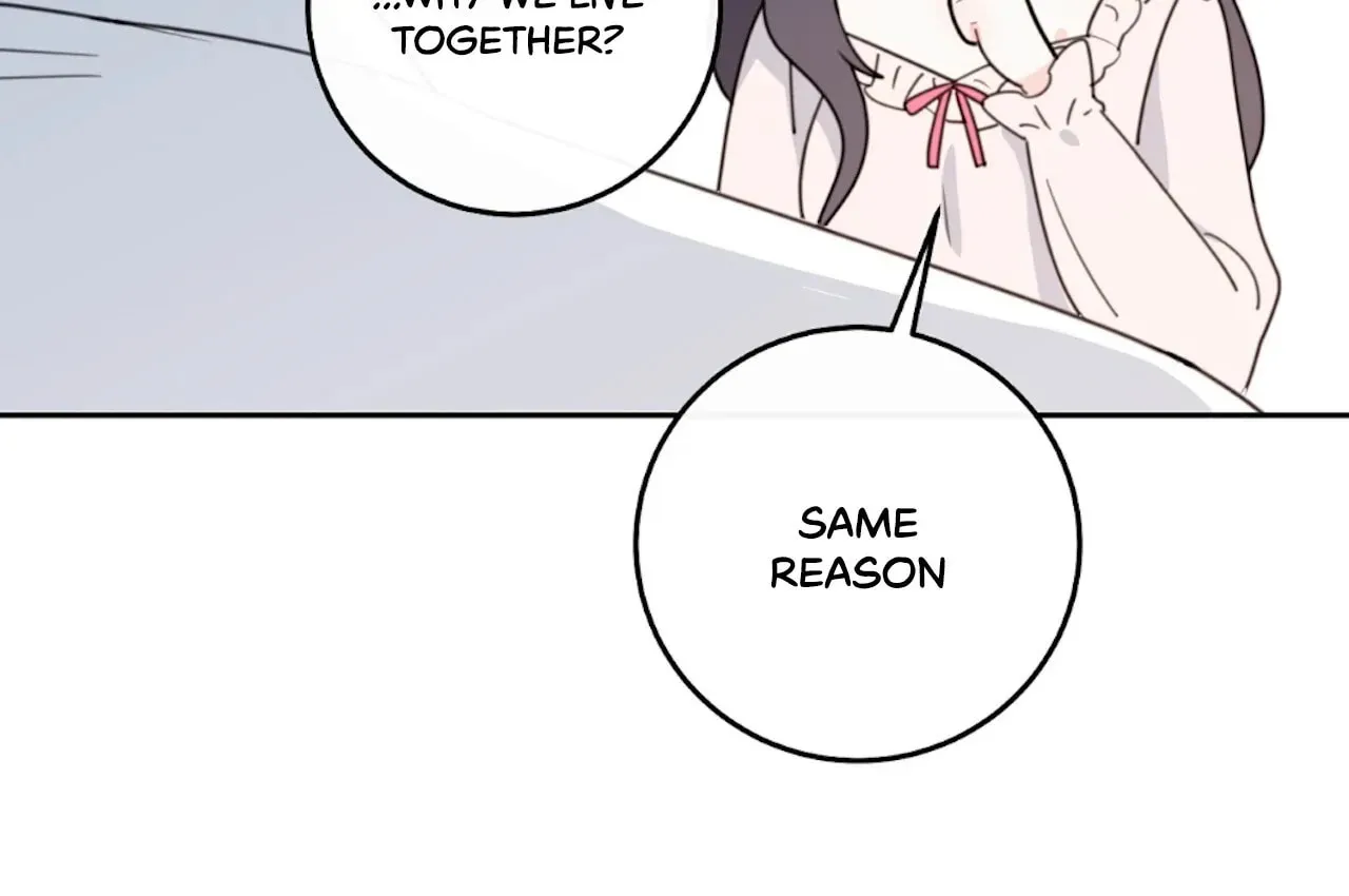 Read The Stalker Can