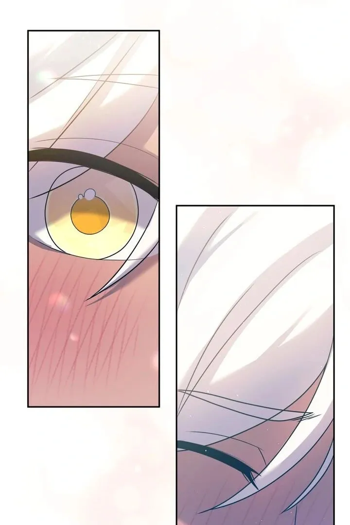Read The Stand In King chapter 13 image 40 on Lezhin