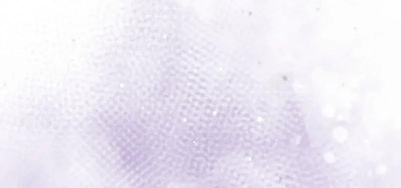 The Status Window to the Soul Chapter 147 page 10 - 