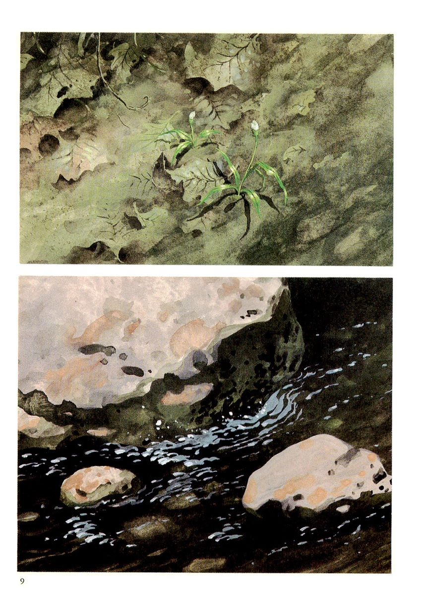 Read The Stone Flower chapter 1 image 8 on Lezhin
