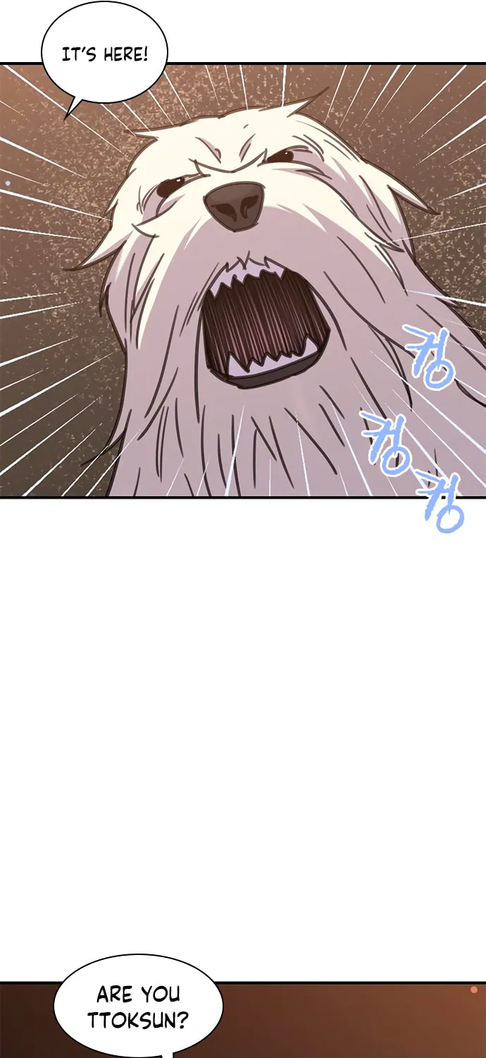 Read The Strongest Ever chapter 43 image 71 on Lezhin