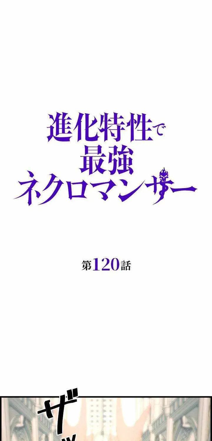 Read The Strongest Evolutionary Necromancer chapter 120 image 18 on Lezhin