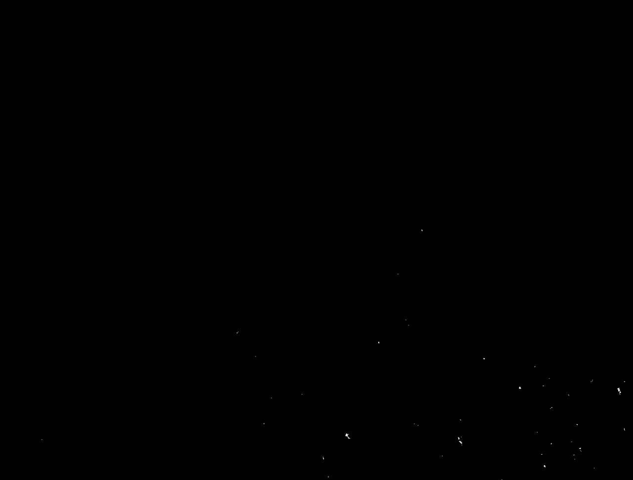 The Student, the Witch, and the Academy Chapter 11 page 53 - 