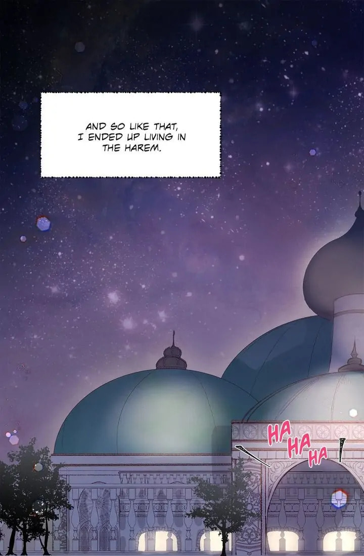 Read The Sultan