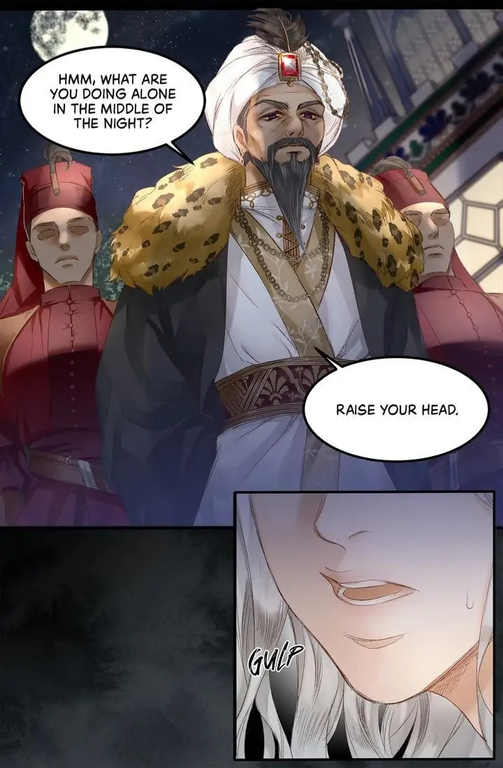 Read The Sultan