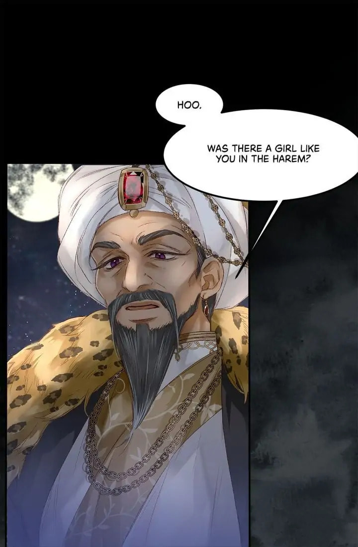 Read The Sultan